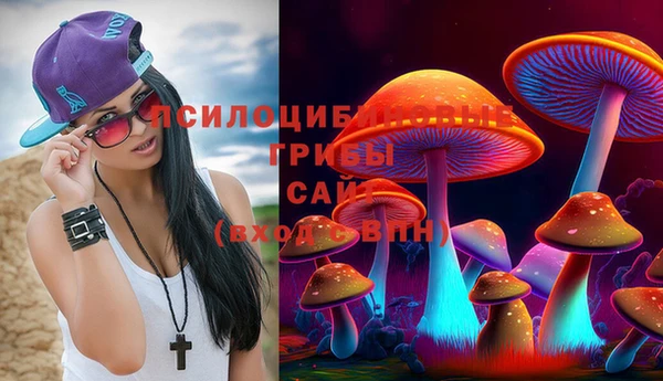 сатива Верхний Тагил