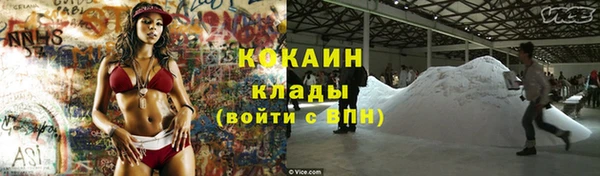 сатива Верхний Тагил