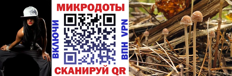 OMG зеркало Электрогорск Галлюциногенные грибы Cubensis где продают наркотики